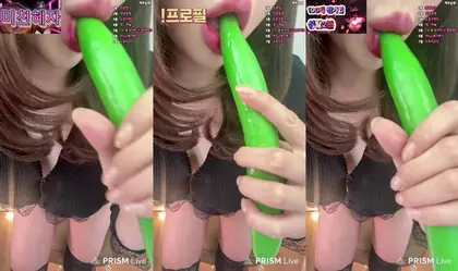 Read more about the article kbj25122349_anoano_20250905